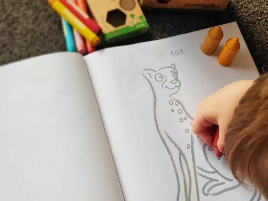 Honeysticks Toddlers First Colouring Book - An Endangered Animals Adventure