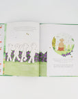 Dear Ted | Perfectly Ted Book