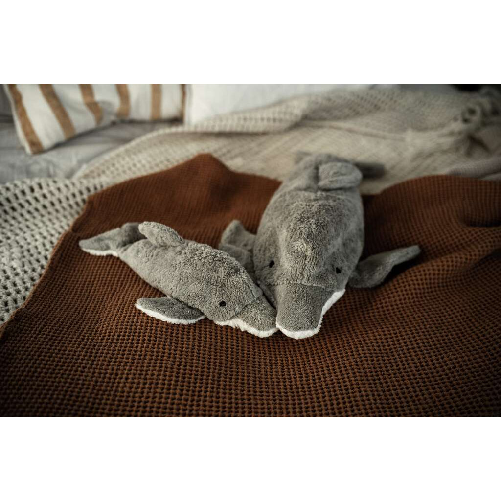 Senger Naturwelt - Small Dolphin