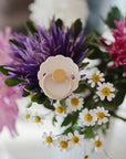 Frigg Coloured Pacifier - Chamomile 2 Pack
