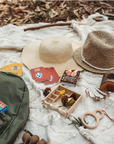 Your Wild Quiz Game