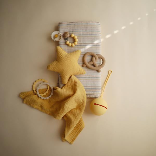 Frigg Coloured Pacifier - Willow 2 Pack