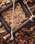 Wild Projects for Families Book