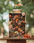 Wild Projects for Families Book