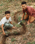 Wild Projects for Families Book