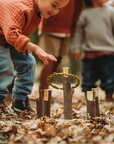 Wild Projects for Families Book