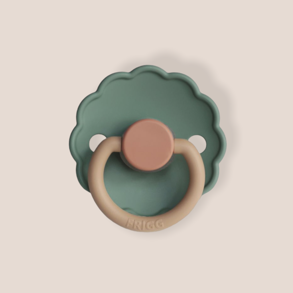 Frigg Coloured Pacifier - Willow 2 Pack