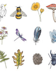 Your Wild Memory Game
