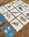 Your Wild Memory Game