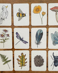 Your Wild Memory Game