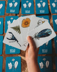 Your Wild Memory Game