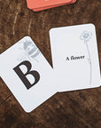 Your Wild Quiz Game