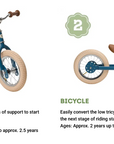 Trybike 2-in-1 Green Vintage