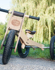 Trybike 4-in-1 Wood