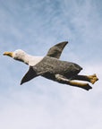 Senger Naturwelt - Large Seagull