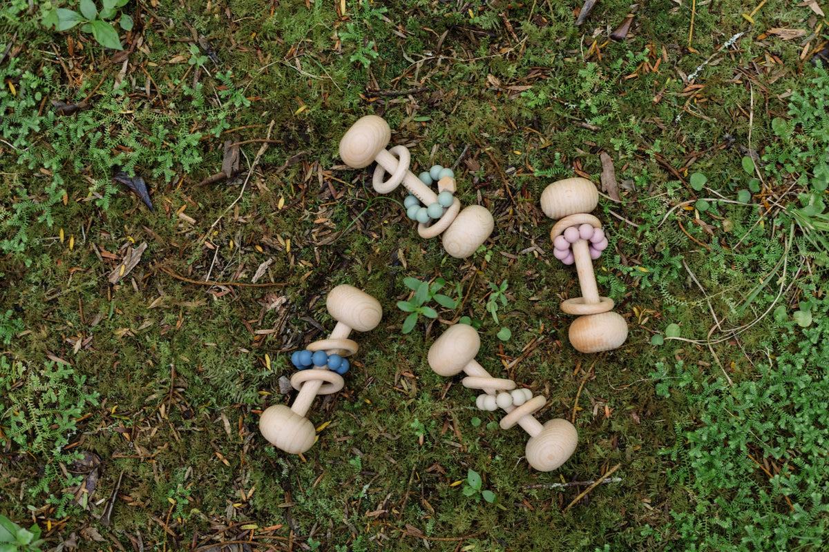 Beech Rattles