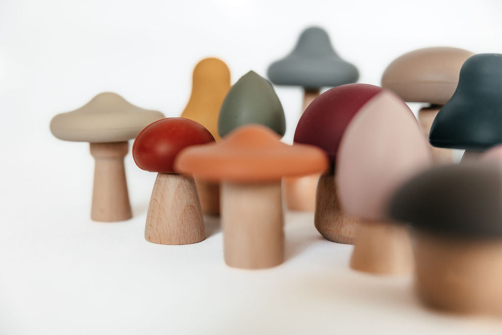 Silicone Mushroom Toy Set