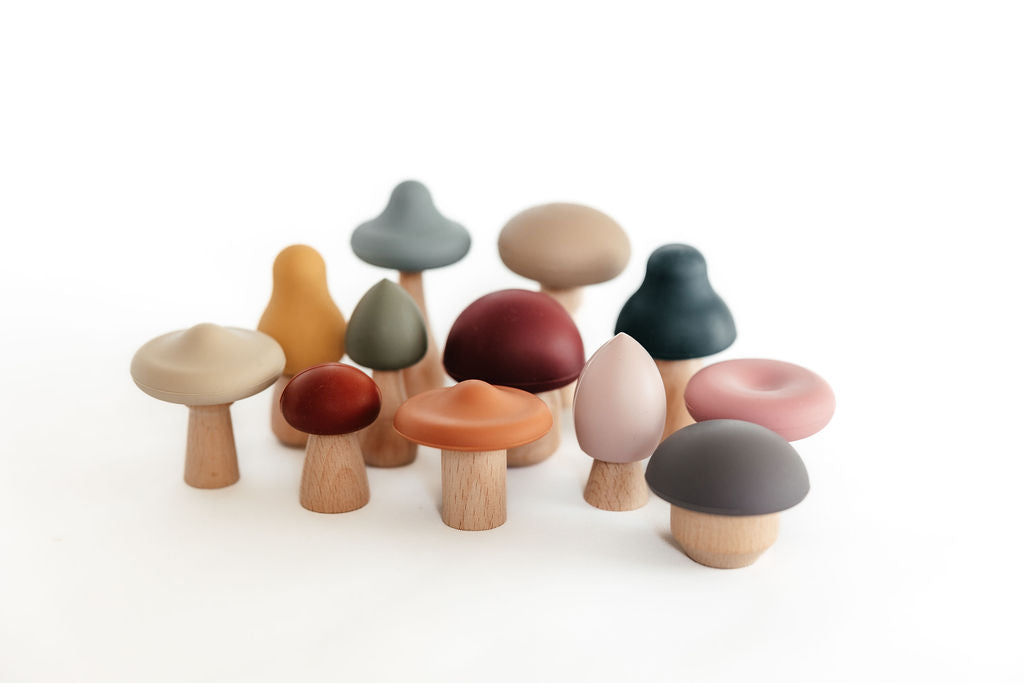 Silicone Mushroom Toy Set