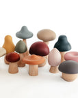 Silicone Mushroom Toy Set