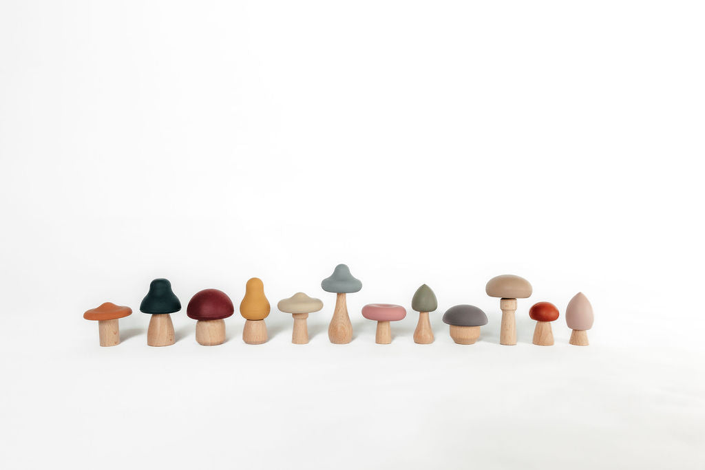 Silicone Mushroom Toy Set