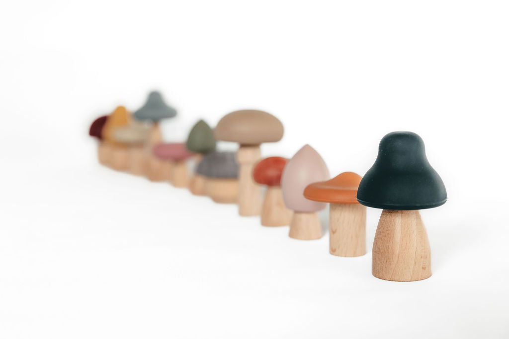 Silicone Mushroom Toy Set