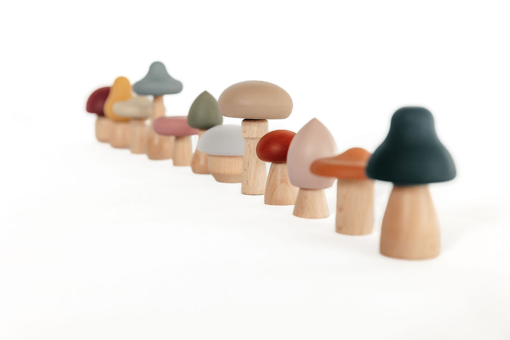 Silicone Mushroom Toy Set