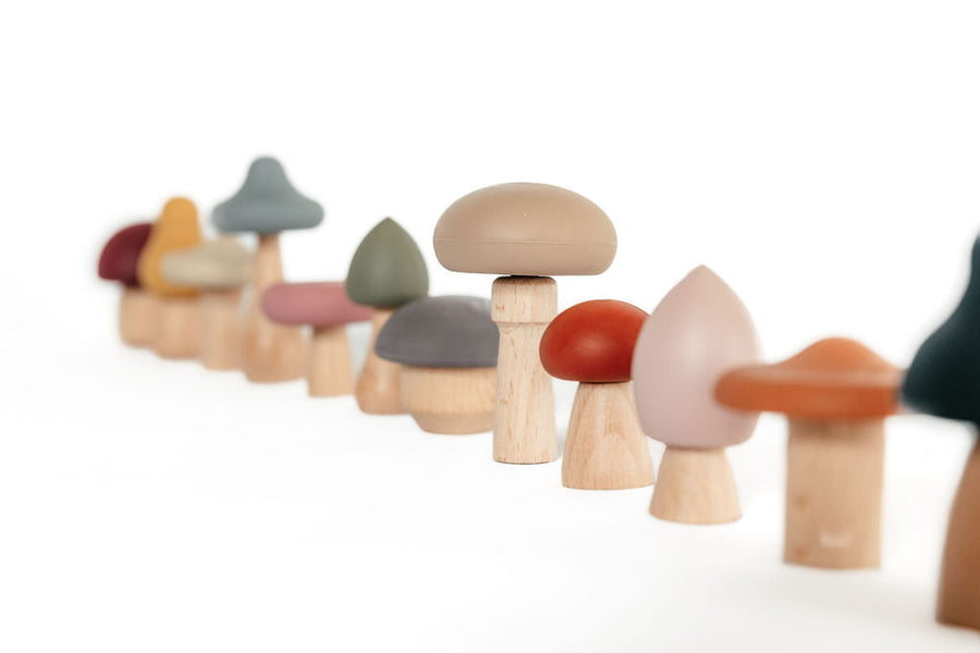 Silicone Mushroom Toy Set