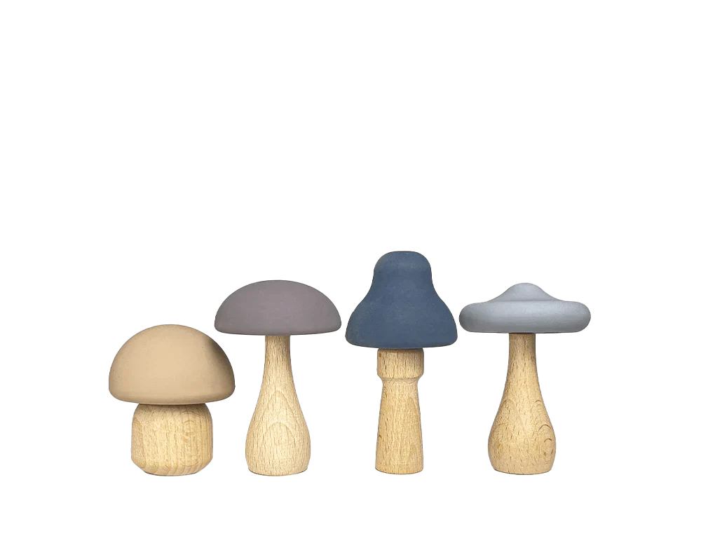 Silicone Mushroom Toy Set