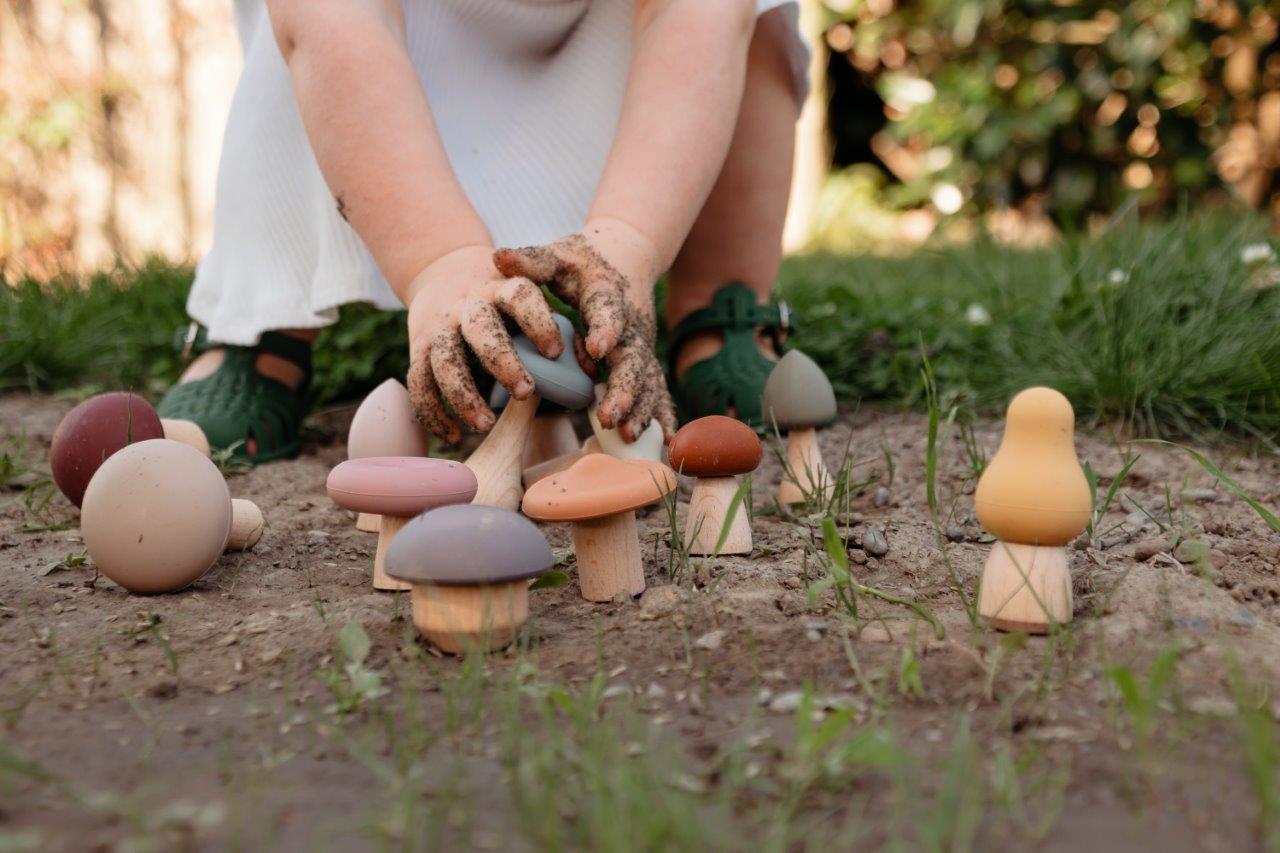 Silicone Mushroom Toy Set