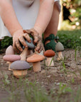 Silicone Mushroom Toy Set