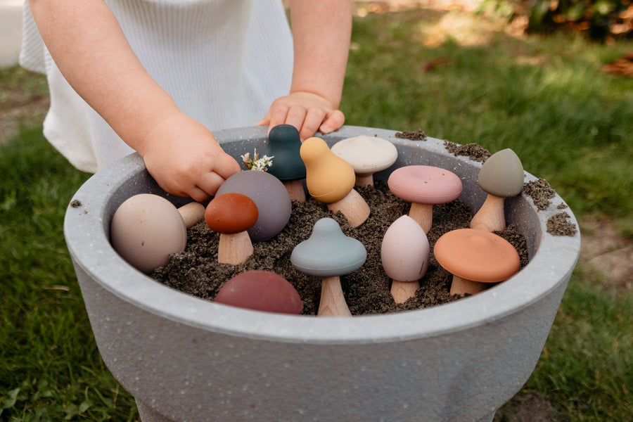 silicone mushroom toy nz