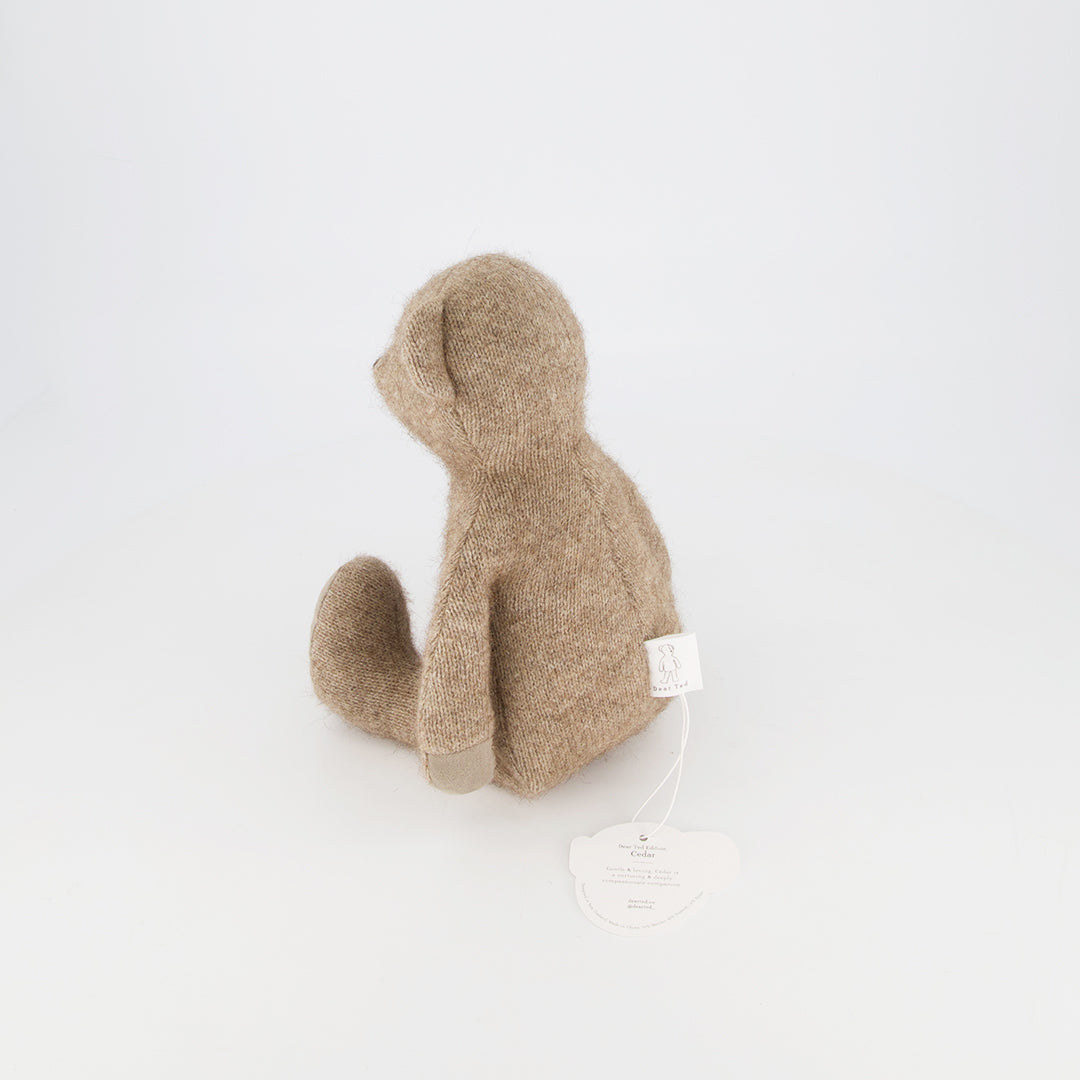 Dear Ted Edition. Cedar – Classical Child
