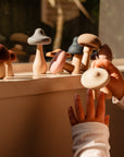 Silicone Mushroom Toy Set