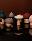 Silicone Mushroom Toy Set