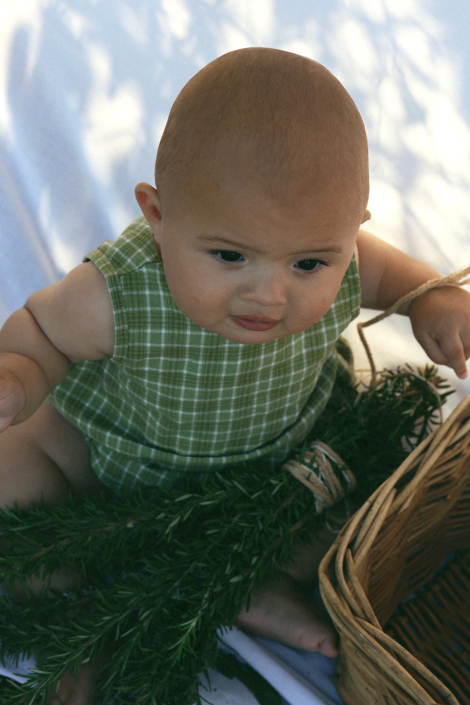 Ziggy Lou Bobbie Romper Thyme