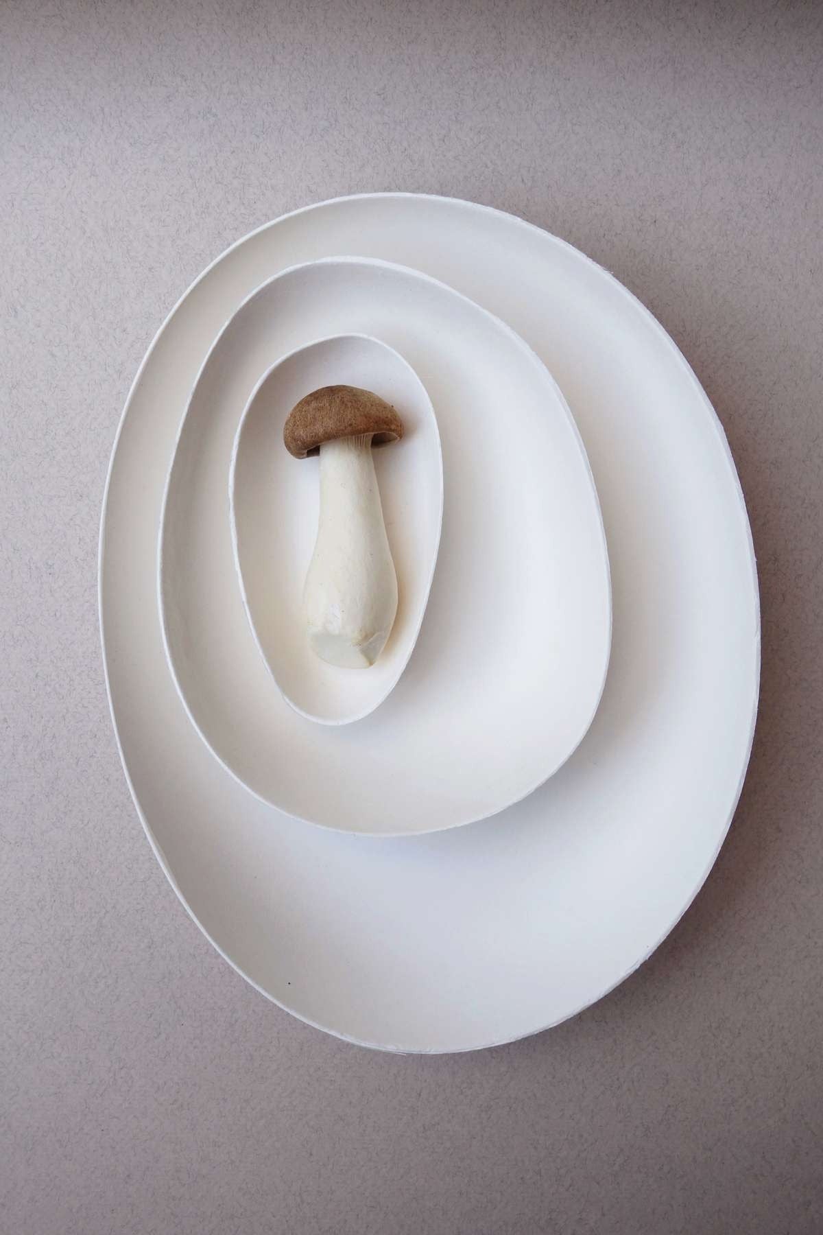 Sugarcane Round Party Plates or Bowls 10 Pack