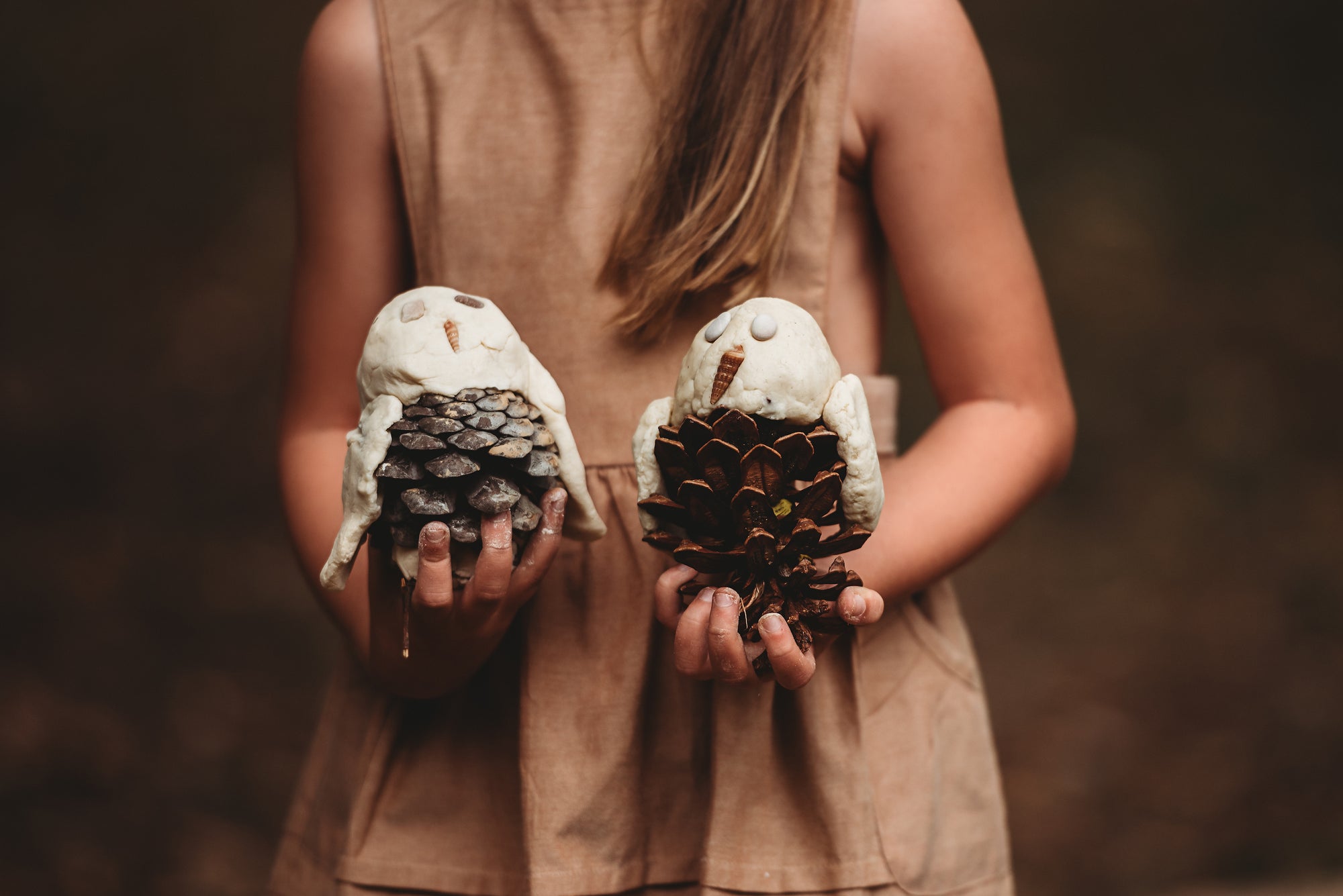 Wild Imagination Book