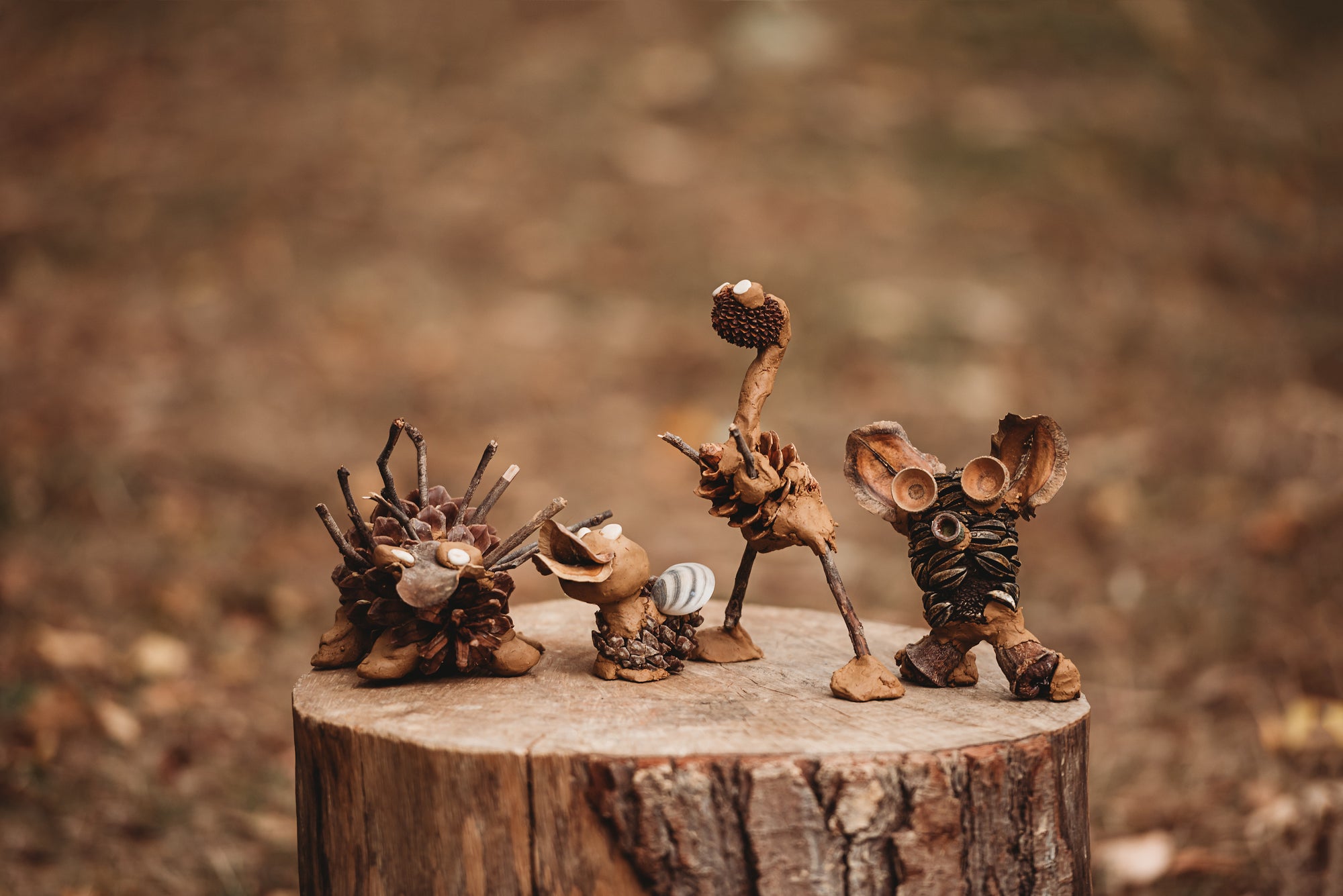 Wild Imagination Book