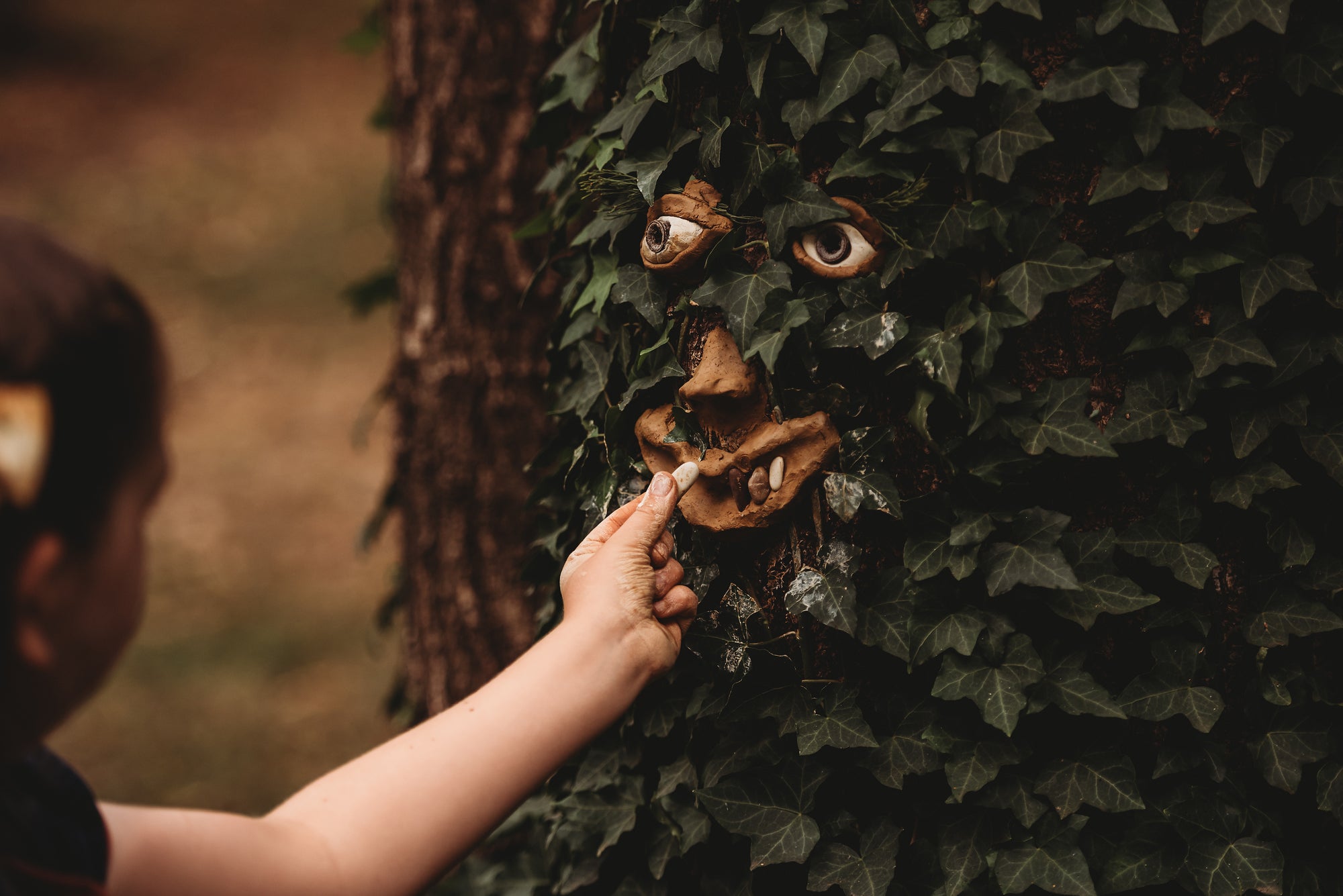 Wild Imagination Book