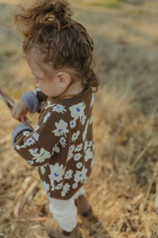 Grown Knit Pull Over Petal