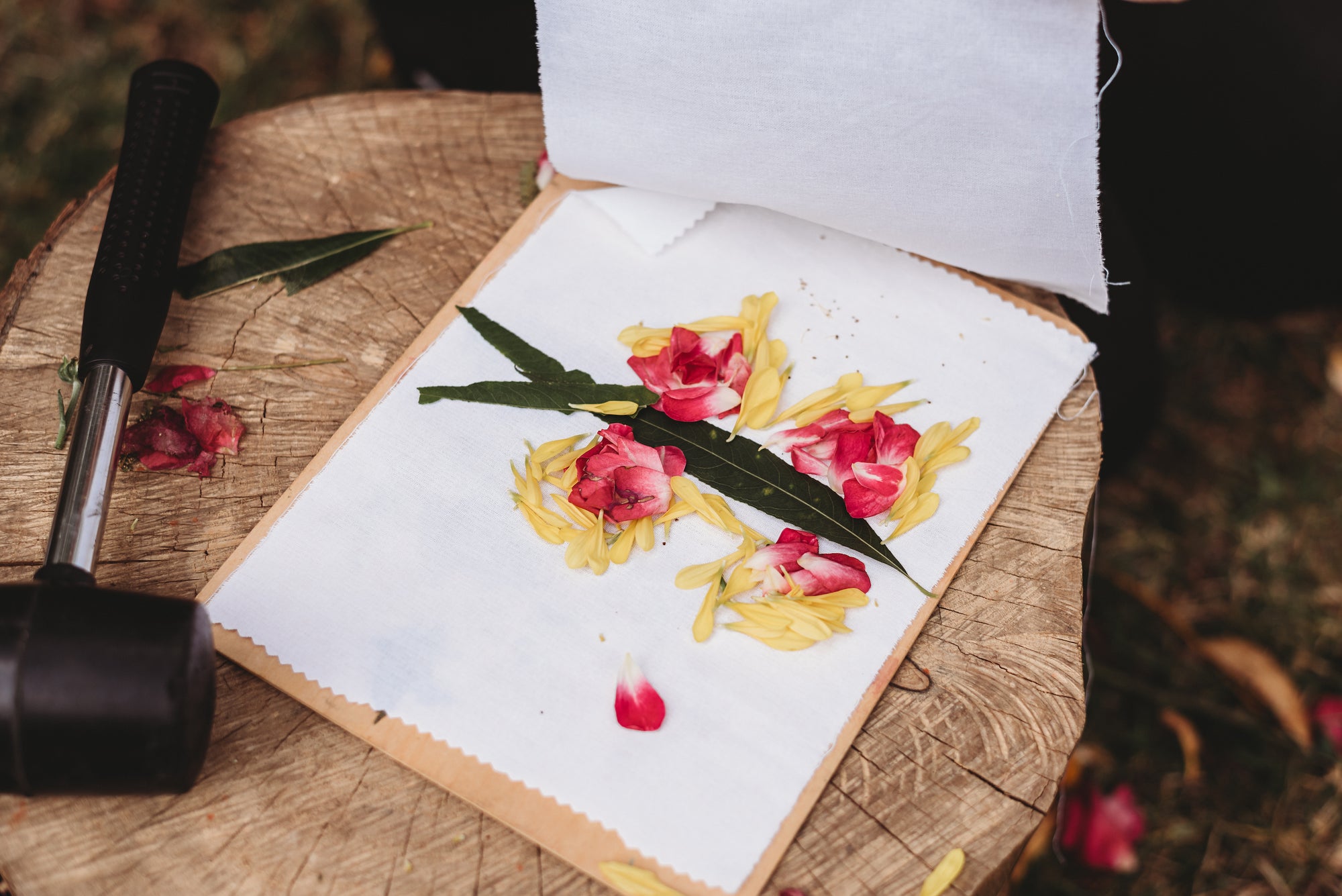 Wild Imagination Book