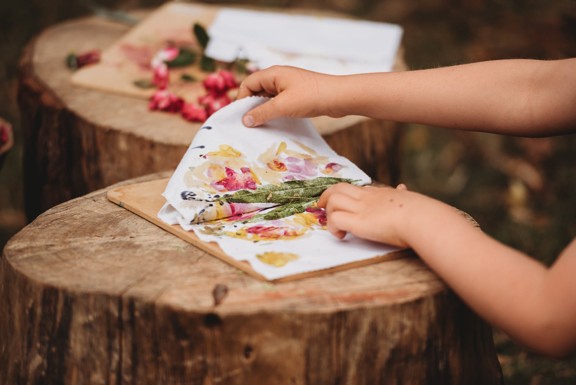 Wild Imagination Book