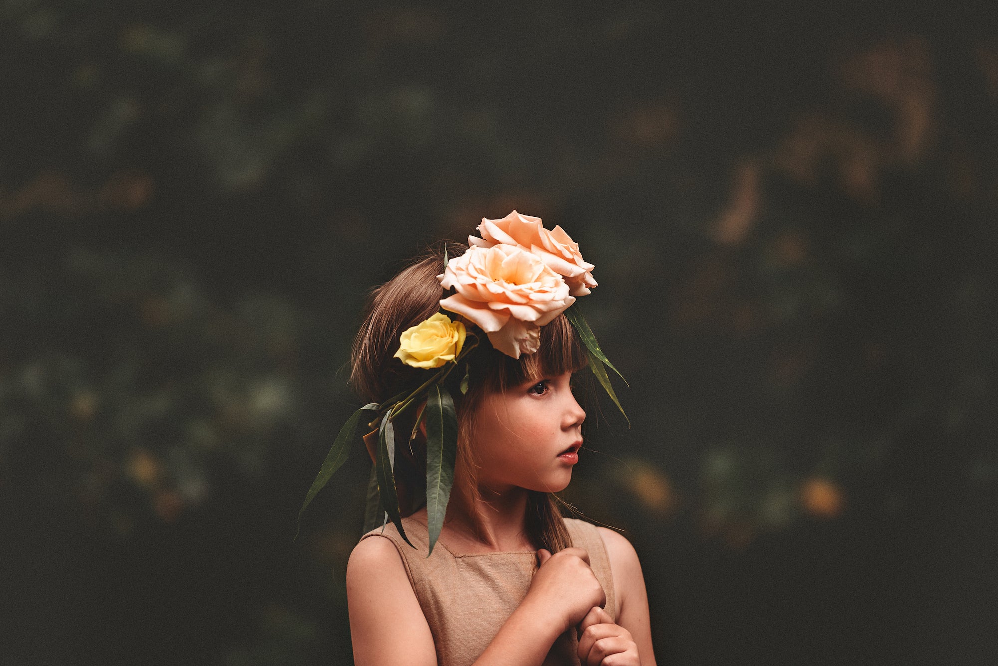 Wild Imagination Book