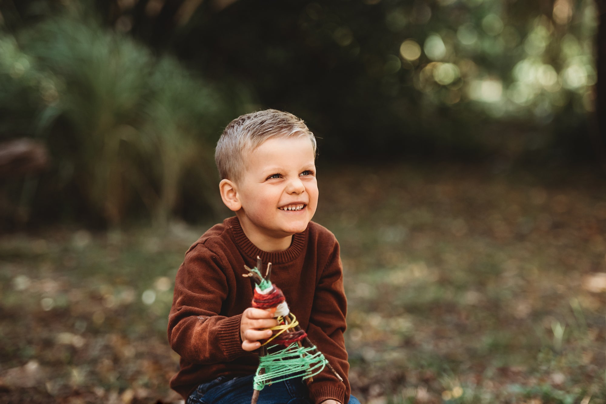 Wild Imagination Book