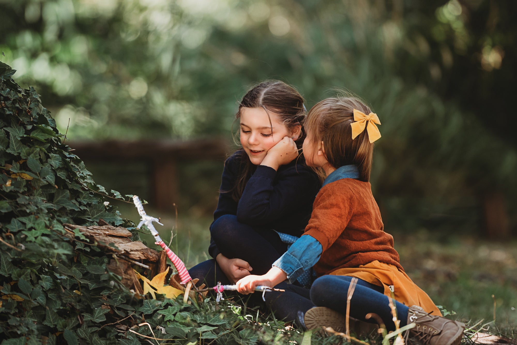 Wild Imagination Book