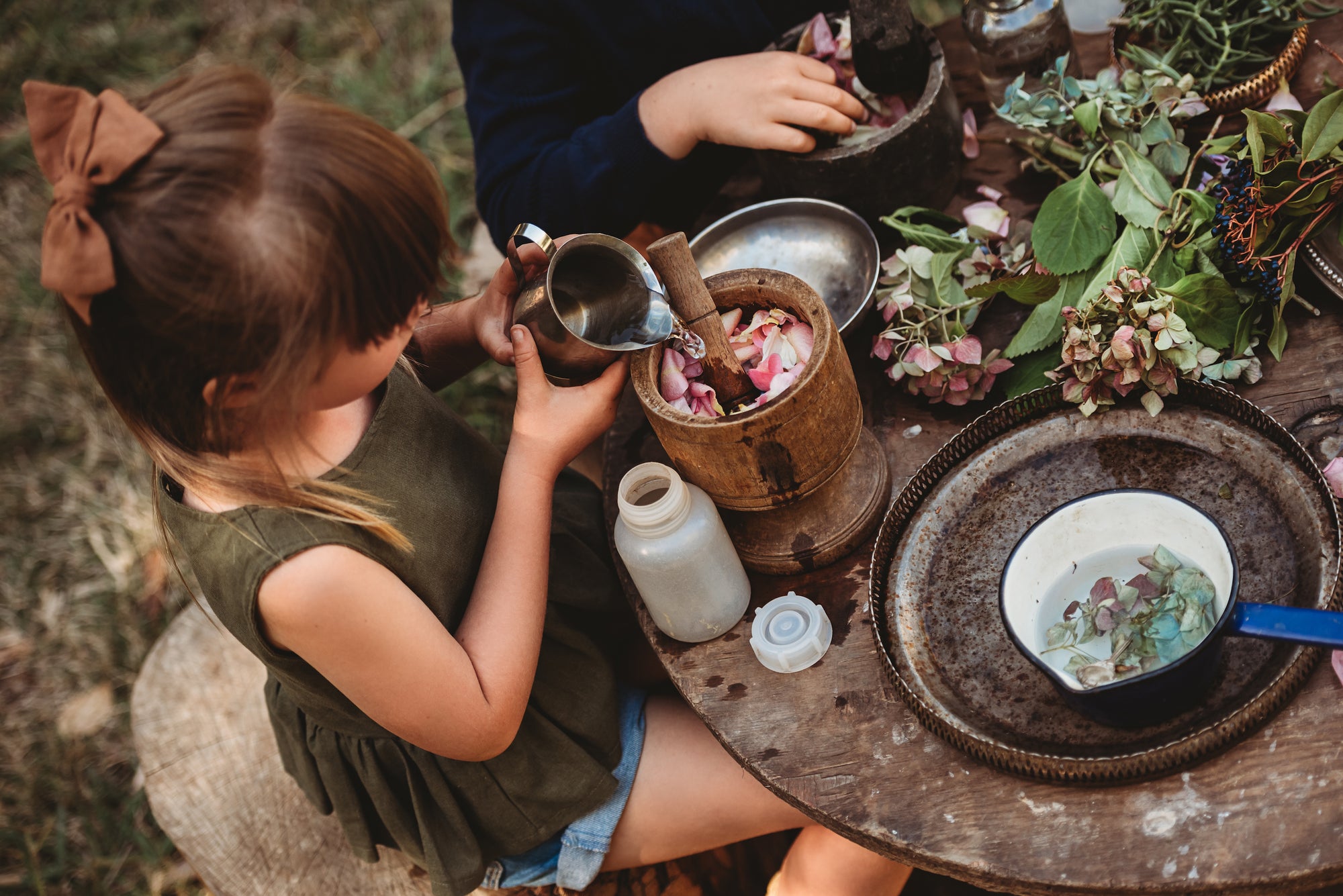 Wild Imagination Book