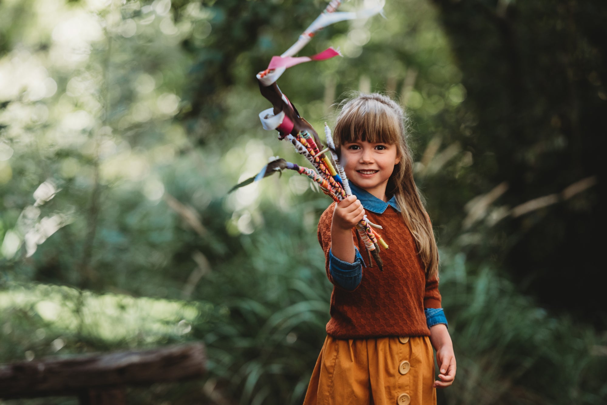 Wild Imagination Book