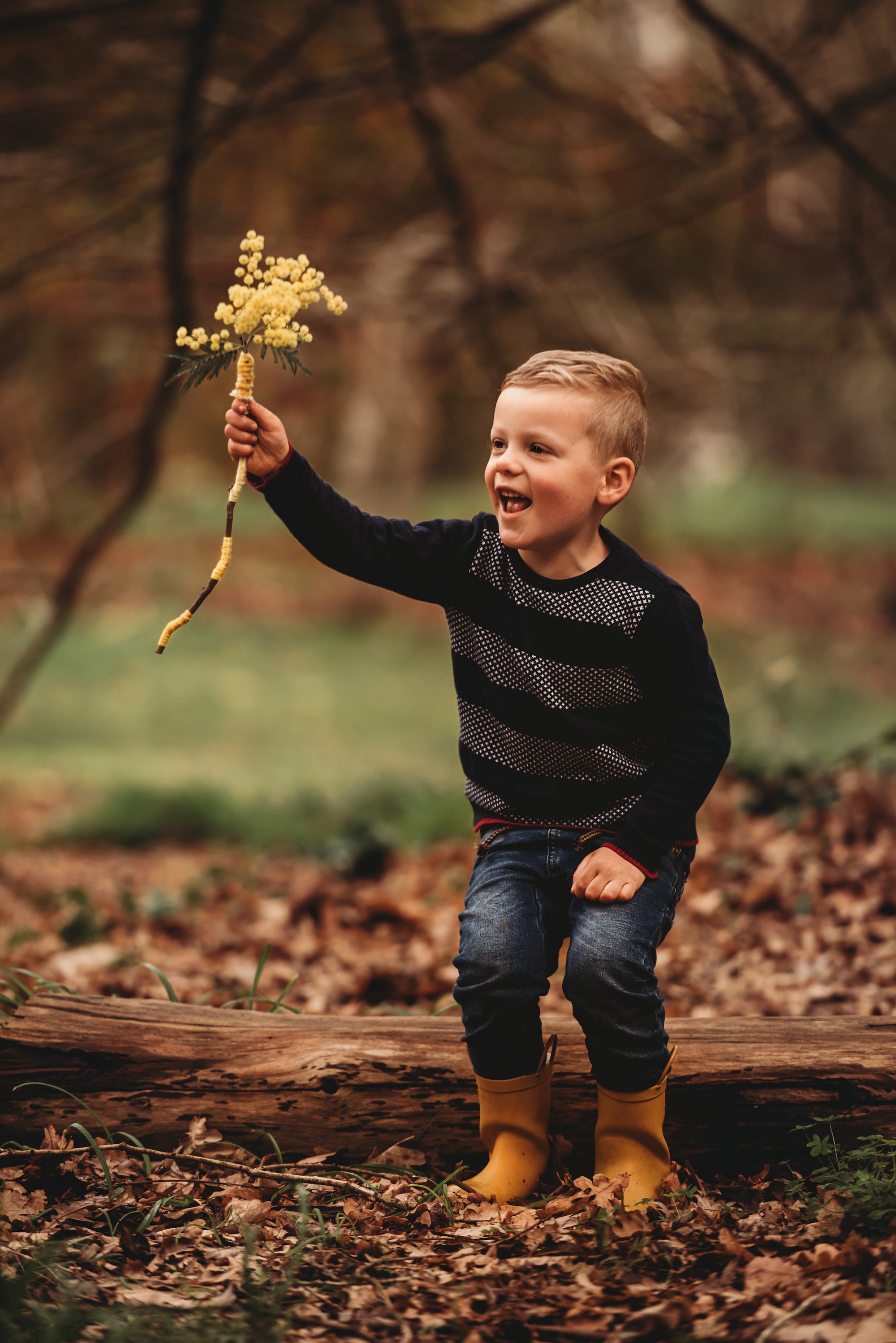 Wild Imagination Book