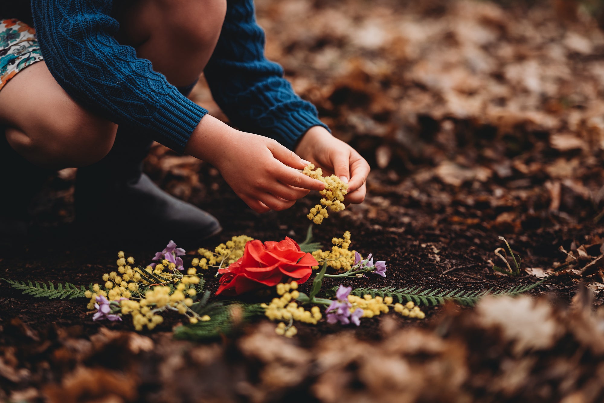 Wild Imagination Book