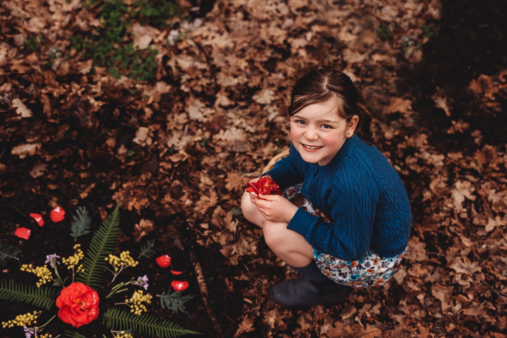 Wild Imagination Book